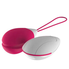 Waterproof Vibrating Egg for Intense Solo or Couples Play