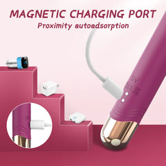 Waterproof rechargeable vibrator with dual motors for simultaneous internal and clitoral stimulation