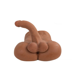 Torso Landon 27 Cm Camtoyz displayed on a stand, showcasing its lifelike proportions and intricate sculpting