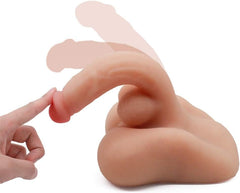 Close-up view of Medio Torso Paul displaying muscle definition and structure