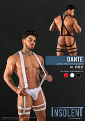 Boxer Dante gloves with reinforced padding for optimal protection and support