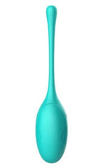 Black and pink Winyi Kitty vibrator egg with remote control