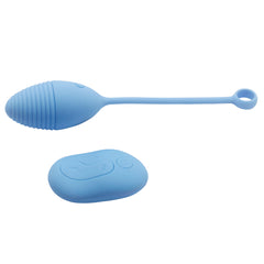 Relentless Seeker Silicone Remote Egg in Blue with remote control and charging cable
