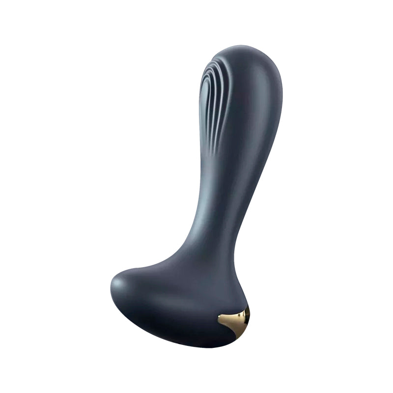 Black Anal Plug Vibrator with Remote Control and 10 Vibration Modes