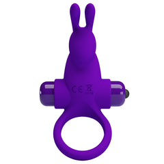 Anillo Vibrating Penis Ring I being used by a couple during intercourse for added stimulation