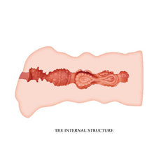 VAGINA CRAZY BULL LEILA - realistic and lifelike design for women's pleasure