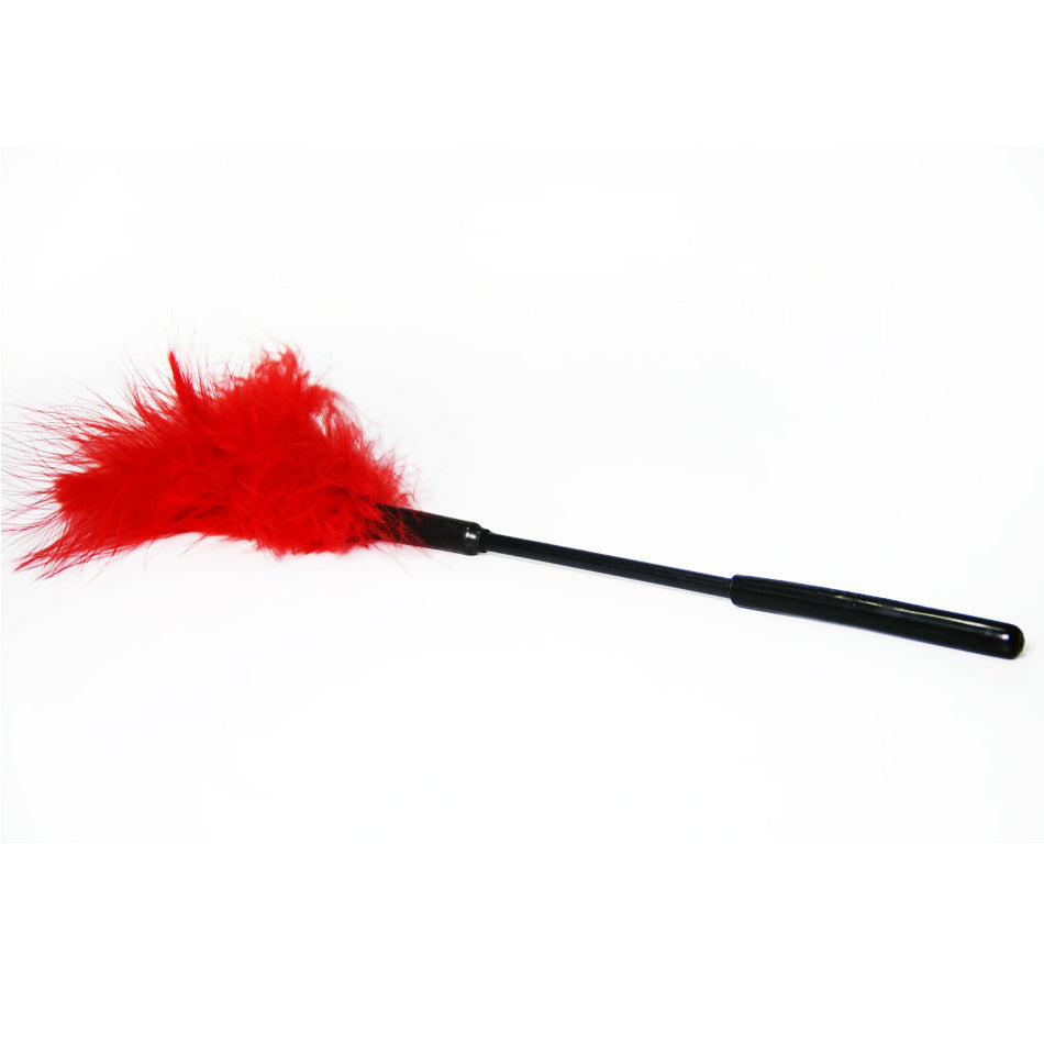 Colorful Playful Ticklers Plumas Cosquillosas for Sensory Stimulation and Fun