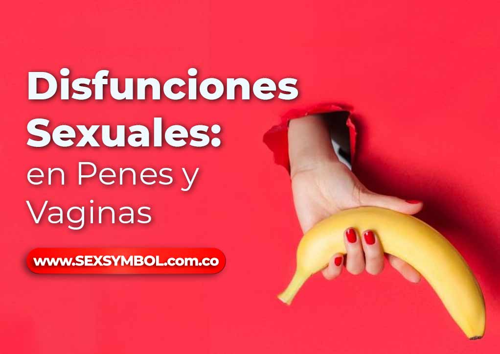 Disfunciones Sexuales en Penes y vaginas