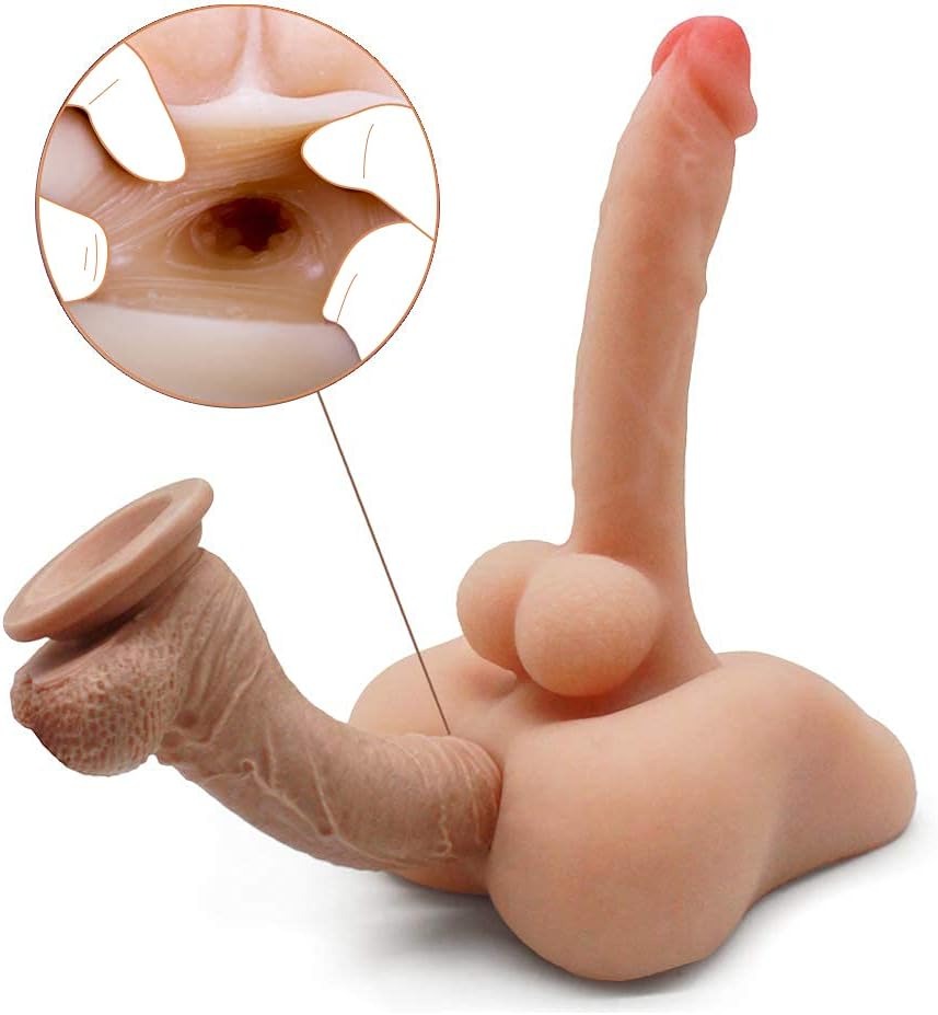  Detailed 3D model of Medio Torso Paul for medical and anatomical study 