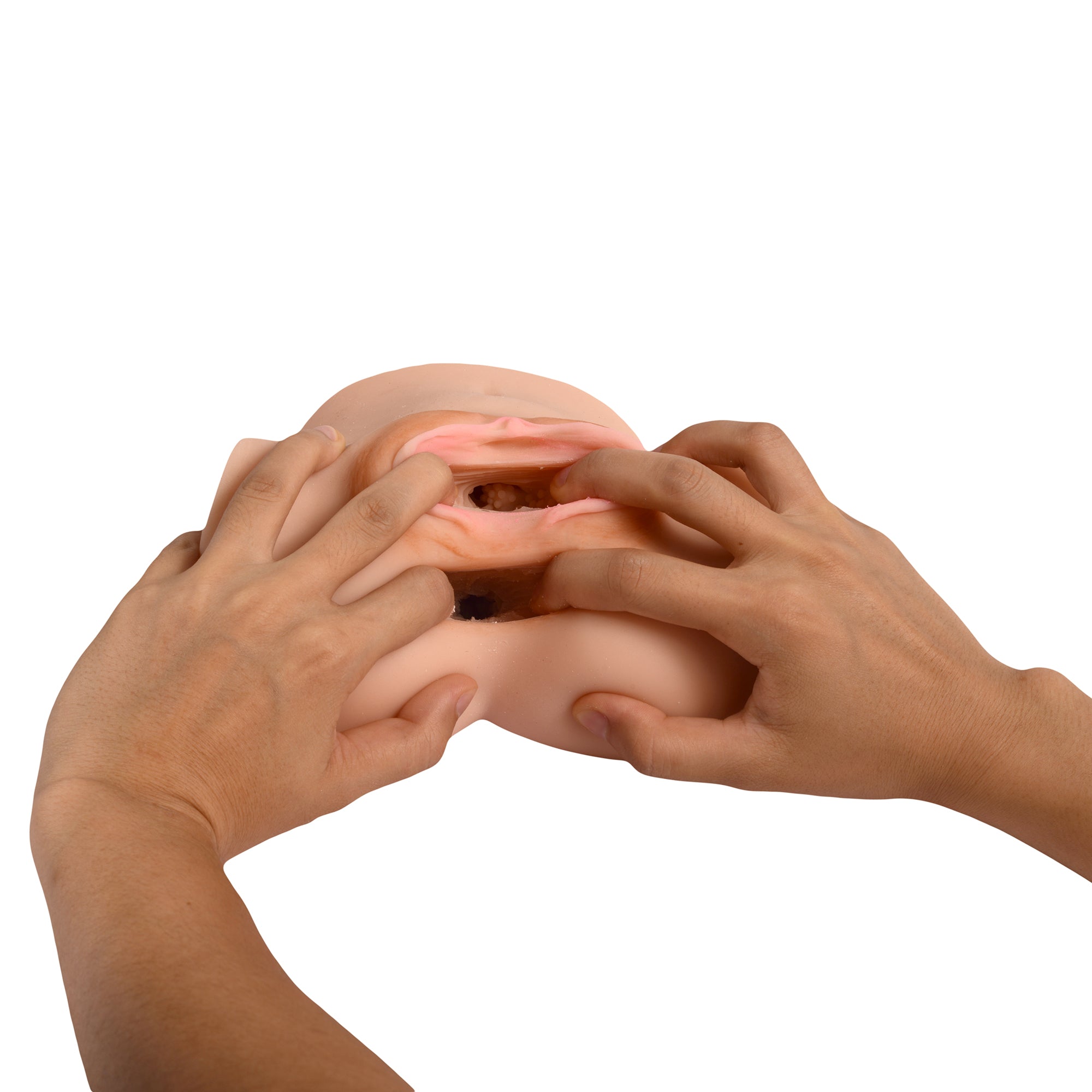 Mini Torso Sylvia: Hand-crafted, lifelike human torso model for medical education