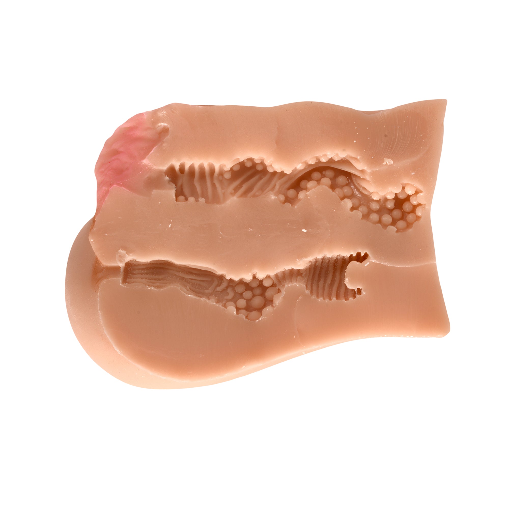 Close-up image of the MINI TORSO SYLVIA product, a detailed and lifelike anatomical model for educational purposes and medical training